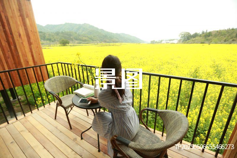 婺源望山-蜂巢13