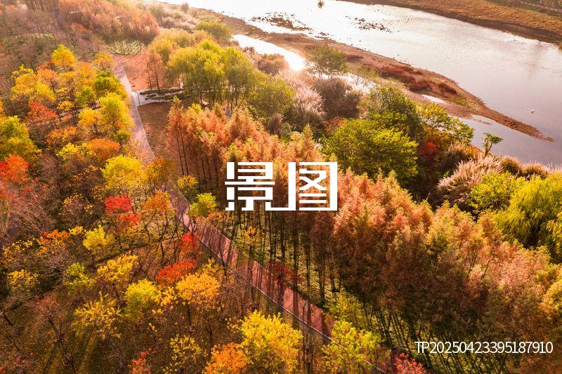 义乌滨江公园37